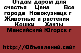 Отдам даром для счастья. › Цена ­ 1 - Все города, Новокузнецк г. Животные и растения » Кошки   . Ханты-Мансийский,Югорск г.